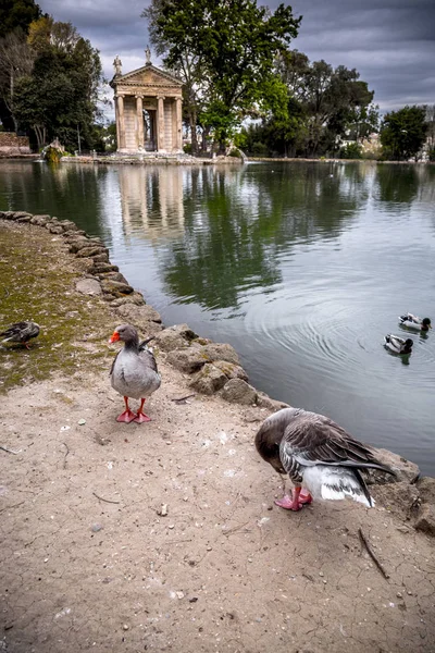 ローマのヴィラ・ボルゲーゼ庭園のエスキュラピオス神殿 — ストック写真