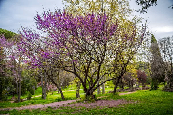 Villa Borghese Gardens en Roma —  Fotos de Stock