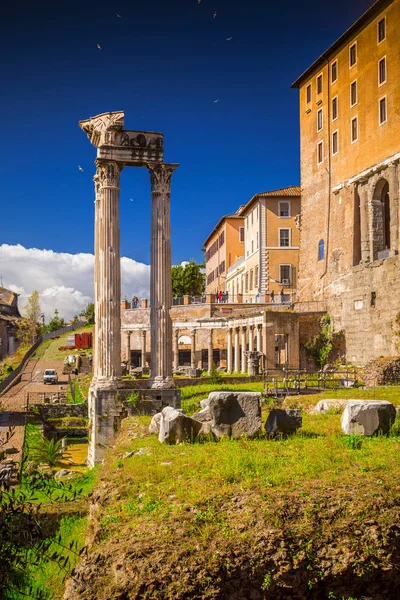 Roman Forumu, Roma 'da Capitolium Tepesi 'nden görünüm — Stok fotoğraf