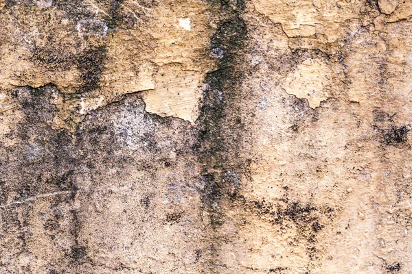 Gamla betongvägg fragment — Stockfoto