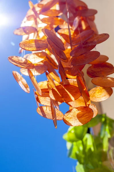 Conchas de suspensão para o mar — Fotografia de Stock