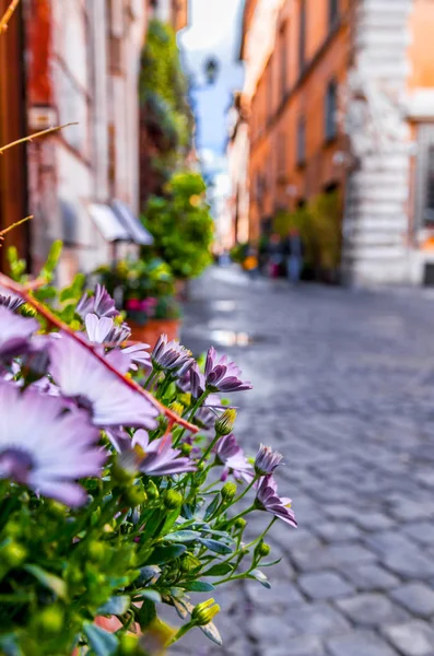 Primavera em Roma — Fotografia de Stock