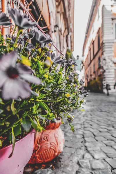 Lente in Rome — Stockfoto