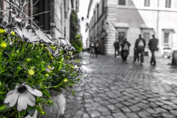 Primavera em Roma — Fotografia de Stock