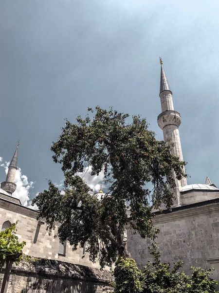 셀리미예 모스크 외관의 디테일 — 스톡 사진