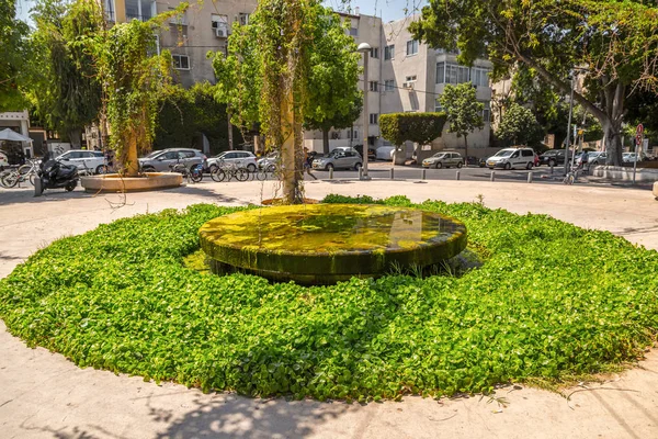 Tel Aviv Kiryat Sefer Parkı — Stok fotoğraf