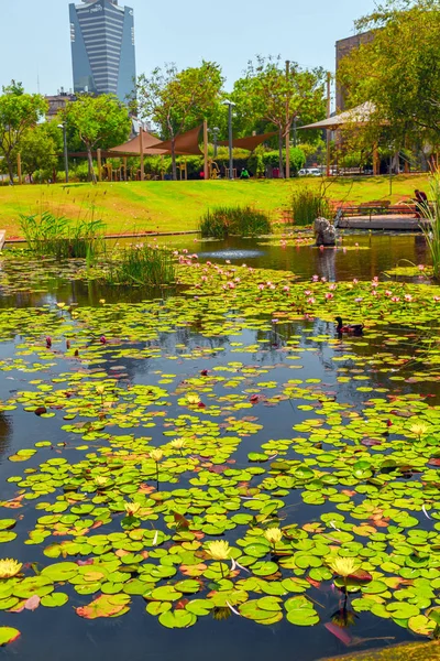 stock image Kiryat Sefer Park in Tel Aviv