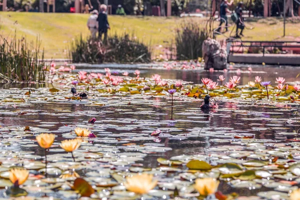 Kiryat Sefer Park em Tel Aviv — Fotografia de Stock