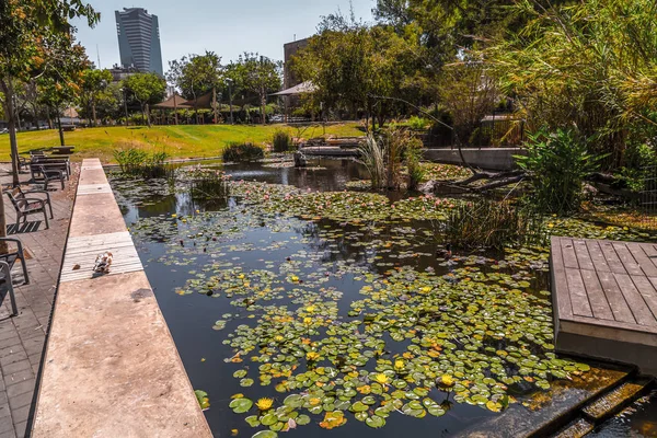 Парк Кирьят-Сефер в Тель-Авиве — стоковое фото