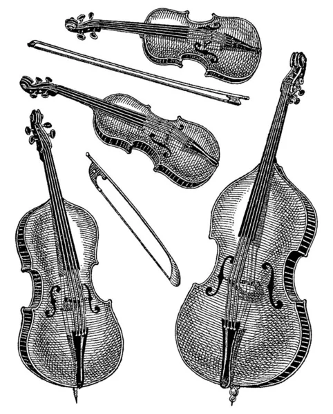 Hegedűk évelő gravírozása — Stock Vector