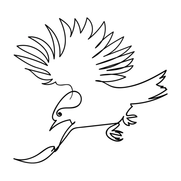 Dibujo Vectorial Una Sola Línea Pájaro Lindo Ilustración Dibujada Mano — Vector de stock