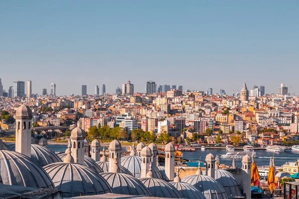 Istanbul Turkey July 2020 Panoramic Cityscape Istanbul Suleymaniye Mosque Overlooking — Stock Photo, Image