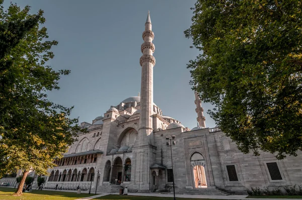 Stambuł Turcja Lipca 2020 Widok Zewnątrz Meczet Suleymaniye Położony Trzecim — Zdjęcie stockowe