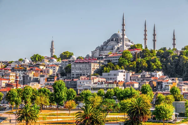 Estambul Turquía Julio 2020 Vista Exterior Mezquita Suleymaniye Ubicada Tercer — Foto de Stock