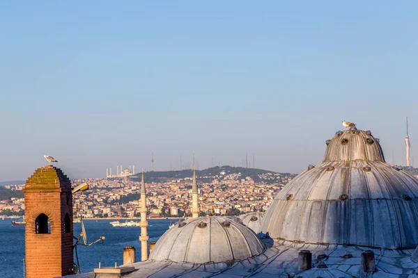 Seagull Dome Cityscape Istanbul Suleymaniye Mosque Overlooking Golden Horn Halic — Stock Photo, Image