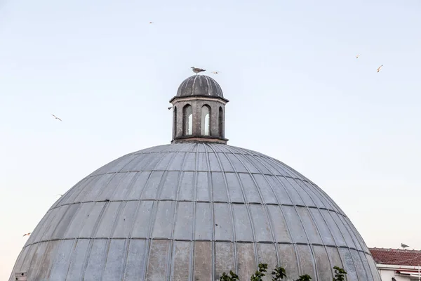 Zeemeeuw Koepel Het Stadsgezicht Van Istanbul Van Suleymaniye Moskee Met — Stockfoto