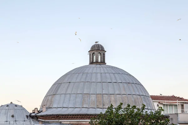 Mouette Sur Dôme Paysage Urbain Istanbul Depuis Mosquée Suleymaniye Surplombant — Photo