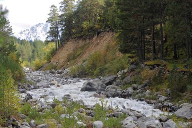 Kanyonda akan nehir vahşi dağ