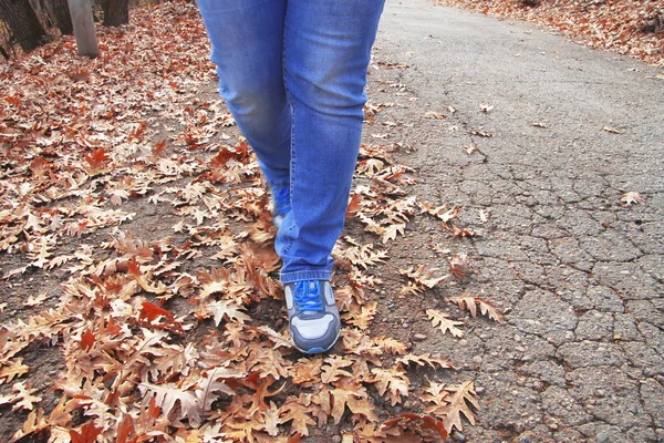 Mujer Joven Caminando Parque Otoño Cerca — Foto de Stock