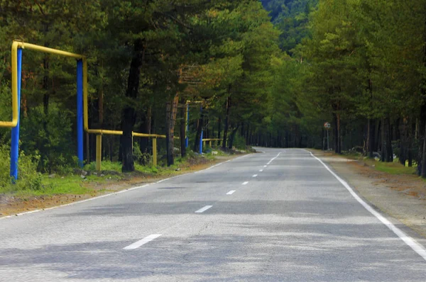 Autostrada Montagna Attraverso Paesaggio Forestale Caucaso Settentrionale Viaggi — Foto Stock