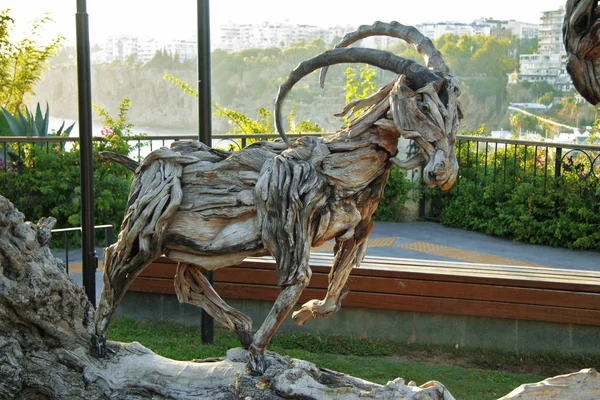 Drewniane Rzeźby Kozy Parku Mermerli Stare Miasto Kaleici Antalya Turcja — Zdjęcie stockowe