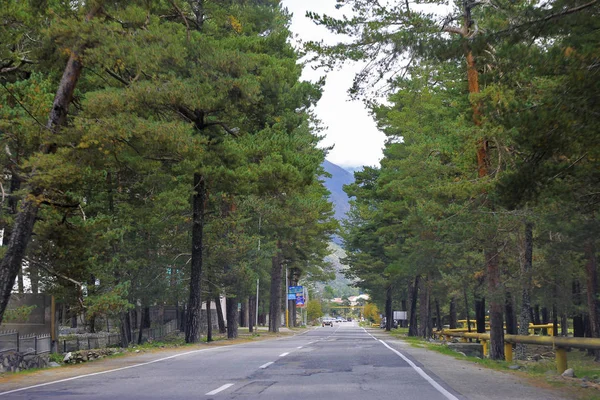 Estrada Montanha Através Paisagem Florestal Norte Cáucaso Viagens — Fotografia de Stock