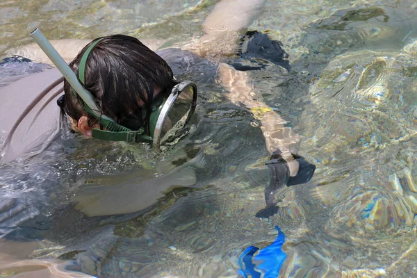 Femme Photographe Plongeant Dans Eau Mer Rouge — Photo