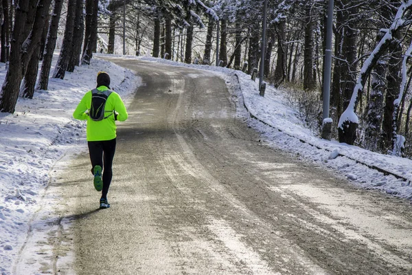 Чоловік Зеленій Куртці Тренується Бігати Зимовому Лісі Неділю Вранці Ліцензійні Стокові Фото