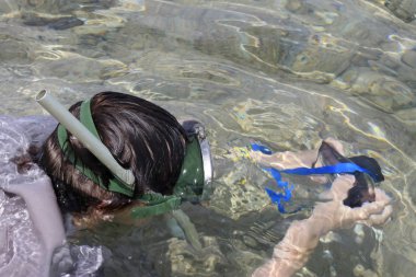 kadın fotoğrafçı Kızıldeniz suya dalış