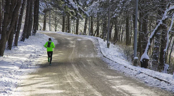 Man Groene Jas Met Het Forest Van Winter Zondagmorgen — Stockfoto