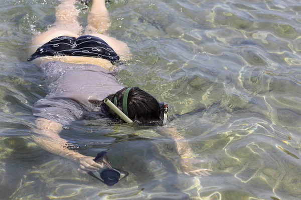 女摄影师入水中的红海潜水 免版税图库图片