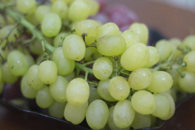 Üzüm yemeye hazır siyah plaka beyaz şarap demet