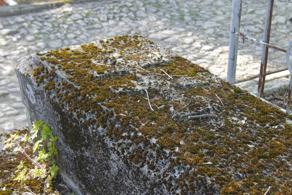 Eski semetary üzerinde yosun altında mezar. Pyatigo tarihi parçası — Stok fotoğraf