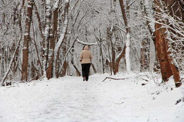 Nő séta egyedül a téli parkban szabadtéri — Stock Fotó