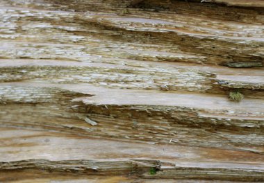 Ahşap arka plan dokulu deseni kahverengi renklerde