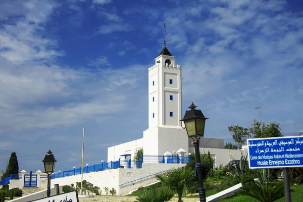 白色和蓝色城镇西迪布赛义德,突尼斯,北非 — 图库照片