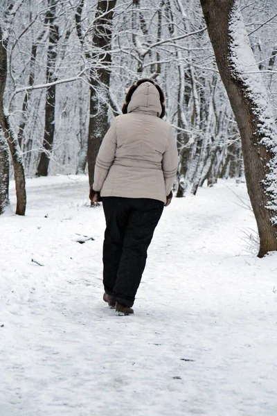 屋外の冬の公園で一人歩く女性 — ストック写真