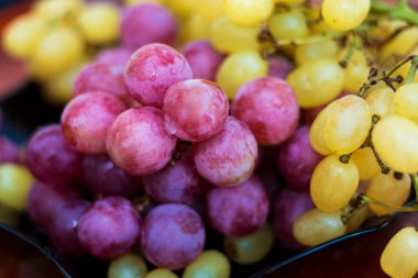 Aziz Sofya Kilisesi - Ayasofya Trabzon Türkiye 25 Eylül 2016