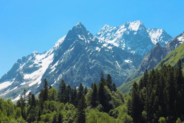 Dombai - Kafkasya Dağları Kar Altında Tepeler ve Açık Mavi Gökyüzü ve Yeşil Orman