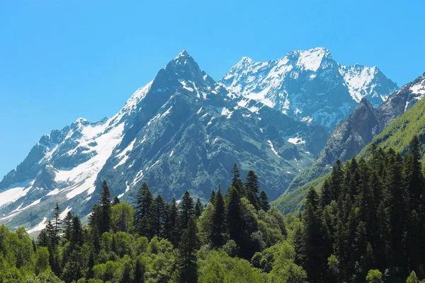Dombai - Kafkasya Dağları Kar Altında Tepeler ve Açık Mavi Gökyüzü ve Yeşil Orman