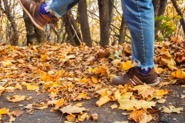 Aziz Sofya Kilisesi - Ayasofya Trabzon Türkiye 25 Eylül 2016