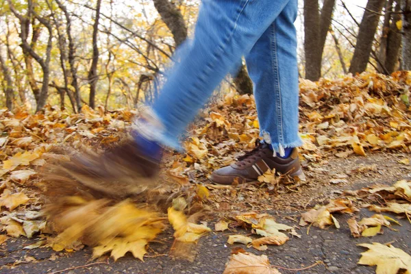 Weibchen Kickt Park Gelbes Herbstlaub Vom Boden — Stockfoto