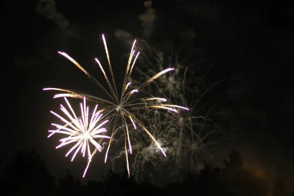 Celebration Colored Firework Flashing Black Night Sky Background — Stock Photo, Image