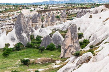 Seyahat Türkiye - peri baca taş ve kaya evler Göreme Milli Parkı'nda Kapadokya bahar