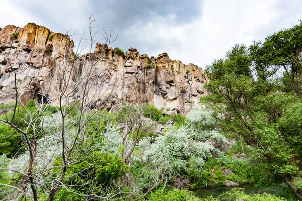 Viaggio Turchia Alberi Verdi Nella Vecchia Gola Della Valle Ihlara — Foto Stock