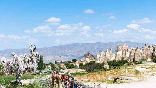 Voyage Turquie Arbre Ornemental Anciennes Églises Rupestres Près Goreme Ville — Photo