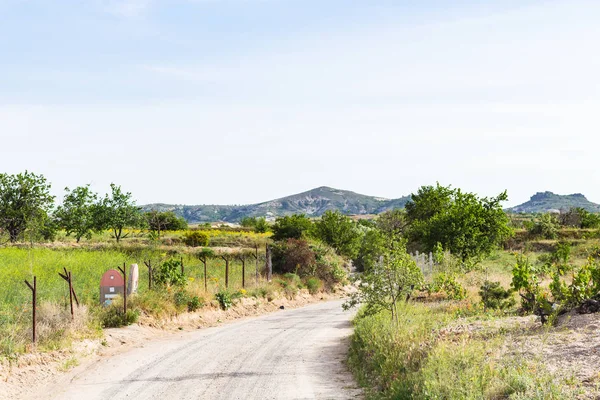 Resa Till Turkiet Landsväg Mellan Trädgårdar Nära Goreme Kappadokien Solig — Stockfoto