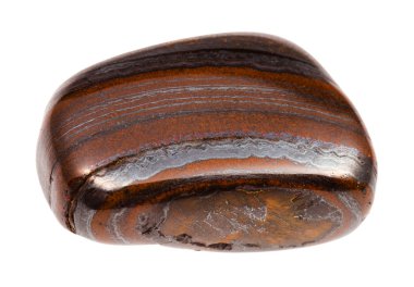 Avustralya'dan beyaz arka plan üzerinde izole Jaspillite (Jaspilite, Taconite Jasper) taş eskitme doğal kaya örnek - makro çekim