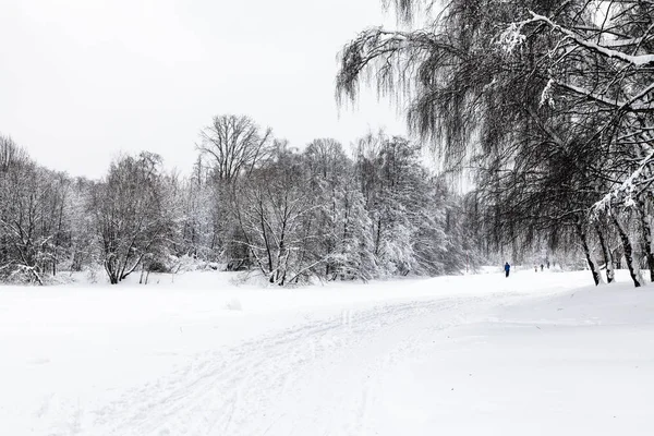 Vista Del Parque Urbano Cubierto Nieve Timiryazevskiy Ciudad Moscú Invierno —  Fotos de Stock