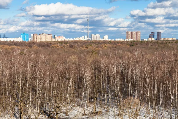 Vista Acima Bétulas Nuas Última Neve Derretida Parque Timiryazevskiy Horizonte — Fotografia de Stock